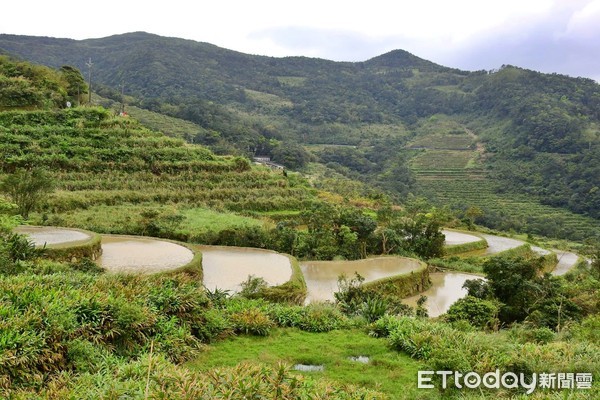 ▲新北推「來去農家DO一日」小旅行 打造四季特色在地農遊路線。（圖／新北市農業局提供）