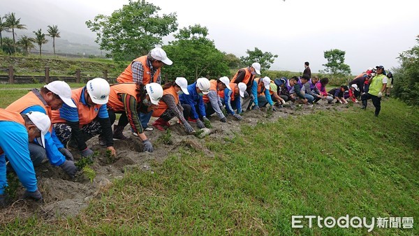 ▲▼志工隊、協會及當地居民結合九河局共同完成矮仙丹種植及生態浮島交接下水儀式。（圖／花蓮縣政府提供，下同）