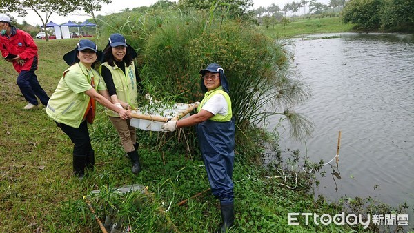 ▲▼志工隊、協會及當地居民結合九河局共同完成矮仙丹種植及生態浮島交接下水儀式。（圖／花蓮縣政府提供，下同）