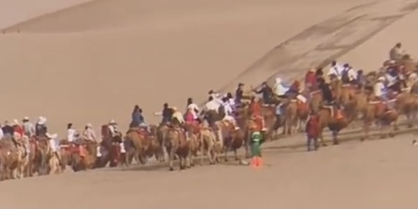 ▲民眾拍下2000多頭駱駝載著遊客排隊登山，形成一條長龍。（圖／翻攝川觀新聞）