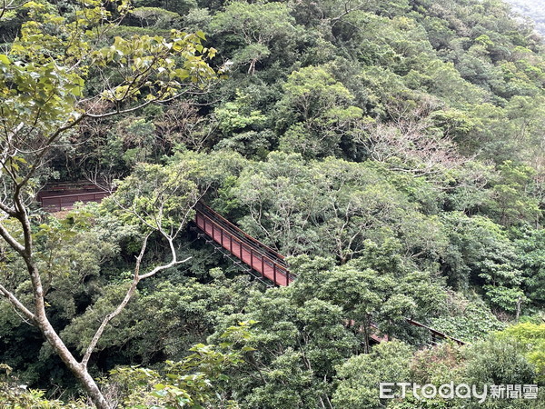 ▲林後四林平地森林園區          。（圖／記者陳崑福翻攝，以下同）