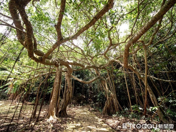 ▲林後四林平地森林園區          。（圖／記者陳崑福翻攝，以下同）