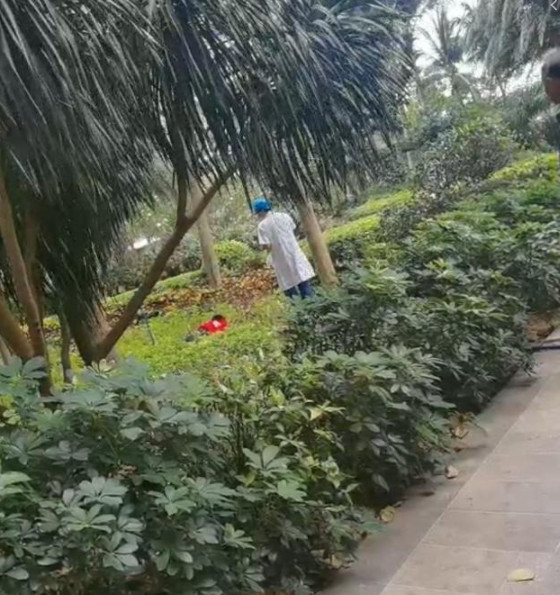 ▲▼三亞紅衣女跳樓。（圖／翻攝自影片）