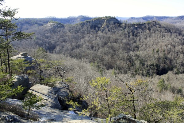 ▲▼肯塔基州紅河峽谷(Red River Gorge)公園的Auxier Ridge小徑。（圖／達志影像／美聯社）