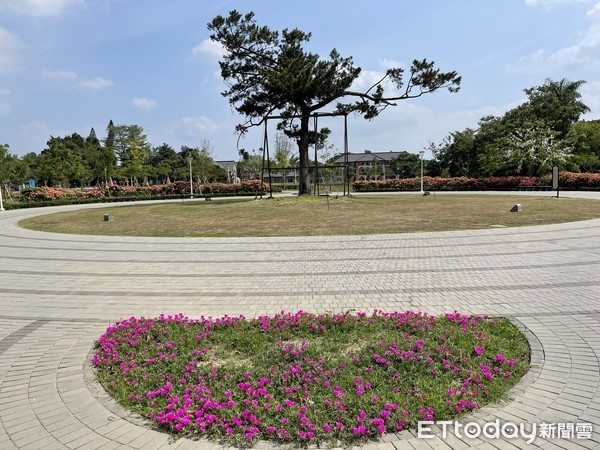 ▲台南水道博物館內一棵鳳凰樹，開滿了艷紅的鳳凰花，搭配園區內玉葉金花，以及阿勃勒，館方歡迎遊客利用母親節連假，前來欣賞不一樣的夏日風情。（圖／記者林悅翻攝，下同）