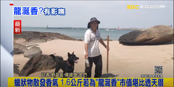 ▲▼一名金門縣民帶著愛犬到海邊散步，結果發現一塊疑似「龍涎香」的石頭。（圖／東森新聞）