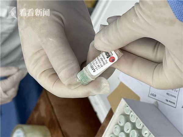 ▲上海海關查獲的247支走私「人體細胞」。（圖／翻攝看看新聞）