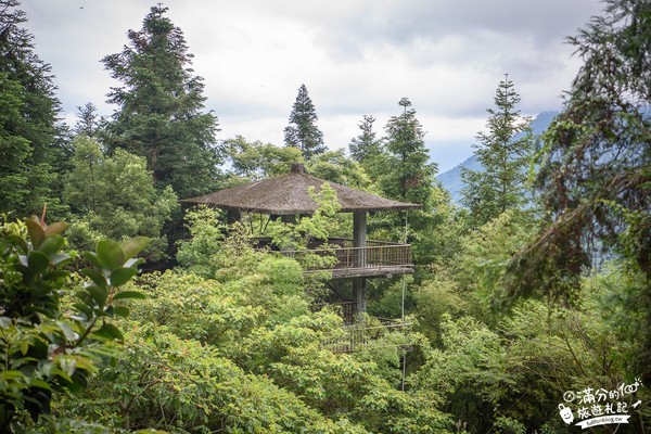 ▲▼鳳凰谷鳥園。（圖／滿分的旅遊札記提供，以下皆同，請勿任意翻攝以免侵權）