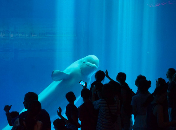 ▲屏東國立海洋生物博物館。（圖／翻攝自《屏東國立海洋生物博物館》臉書專頁。）