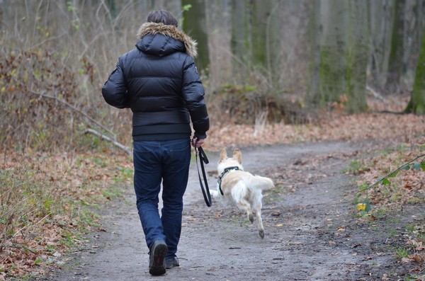 ▲遛狗,狗散步,散步,寵物。（圖／取自免費圖庫pixabay）