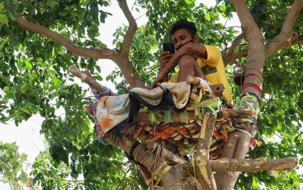 確診怕傳染給家人！18歲男把床搬到樹上　已經「自我隔離」11天。（圖／翻攝自Twitter）
