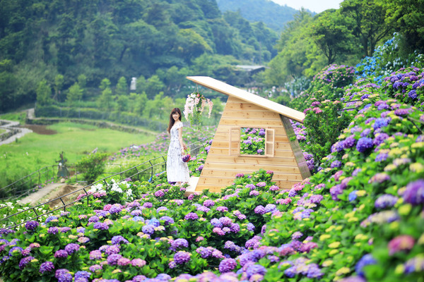 ▲名陽匍休閒農莊日前花況。（圖／康乃元提供）