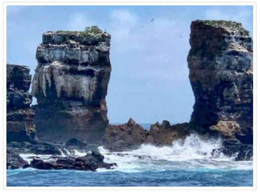 ▲▼加拉巴哥群島地標「達爾文拱門」倒塌。（圖／取自CFACT臉書）