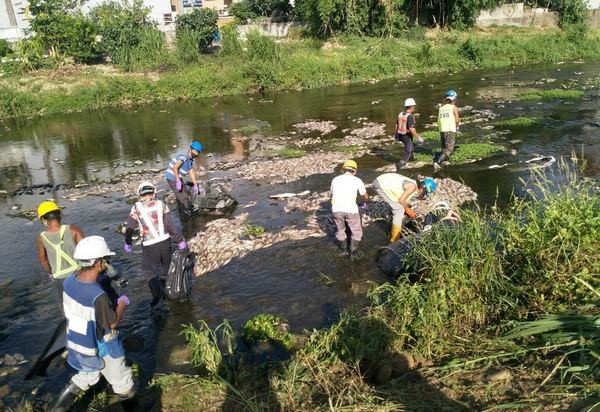 ▲大園老街溪飄惡臭，3天清理逾2,000公斤死魚。（圖／翻攝自游吾和臉書）