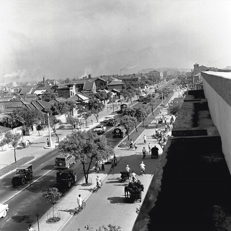 ▲1950年代敦化北路街景。（圖／北市工務局提供，照片來源：文化部國家文化資料庫）