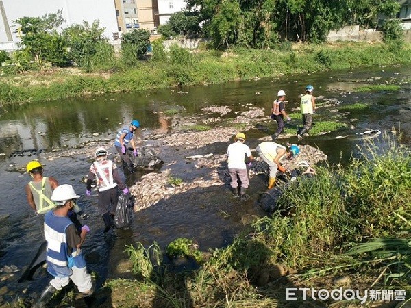 ▲▼環保人員逐一清理河川死魚，一週來總共吊起30噸死魚。（圖／桃園市政府環保局提供