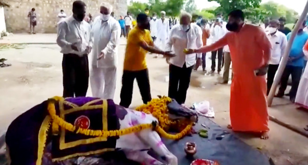 ▲印度「神馬」死亡，數百人舉行葬禮。（圖／翻攝推特）