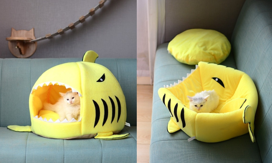 兩用超可愛「鯊魚貓窩」限時特價380→266元　貓咪不睡還能壓平當坐墊