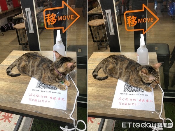 ▲▼餐廳一坨貓擋住QR Code圖片。（圖／網友李榮哲授權提供）