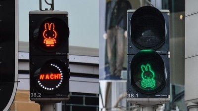 萌萌的動了！荷蘭街頭設「米菲兔紅綠燈」　搭彩虹斑馬線滿滿少女心