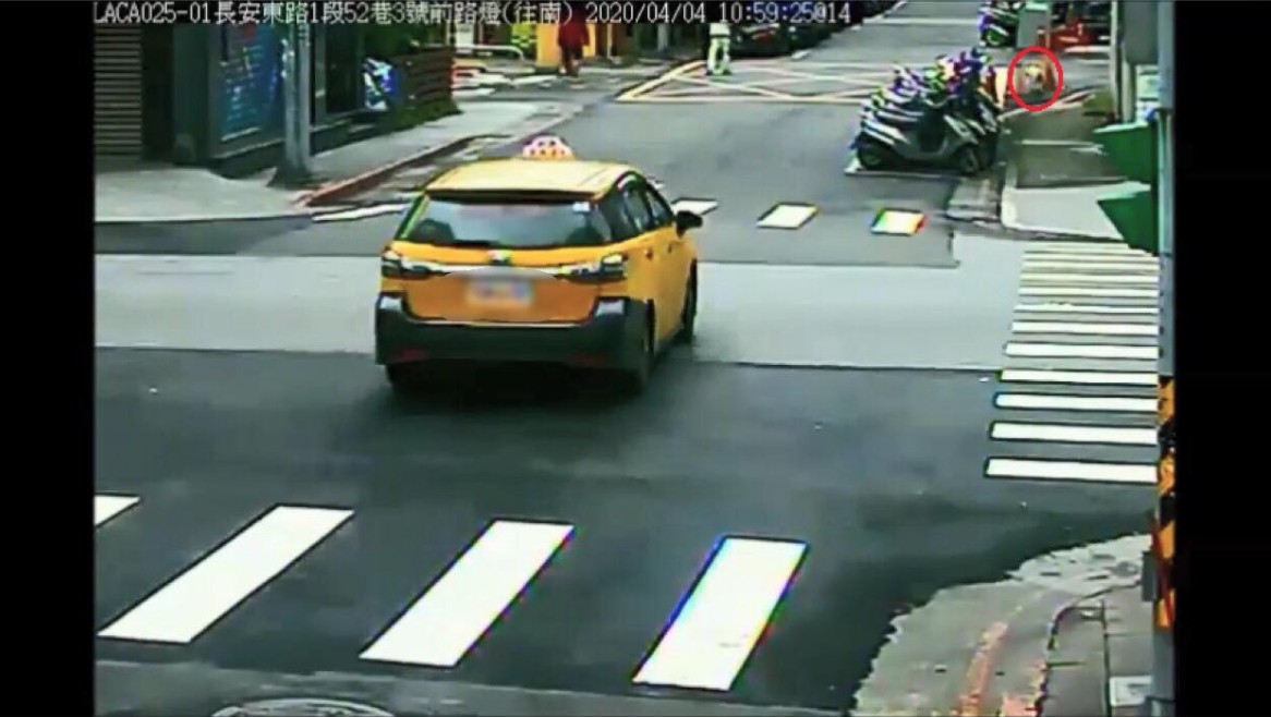 ▲▼計程車司機輾斃小狗，監視器畫面曝光。（圖／翻攝台北地院判決書）
