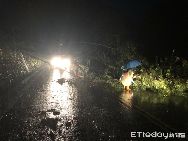 ▲梅雨鋒面信義山區強降雨，造成多處路樹倒塌。（圖／記者高堂堯翻攝）