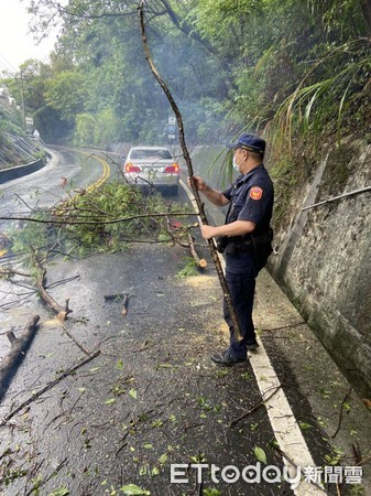 ▲梅雨鋒面信義山區強降雨，造成多處路樹倒塌。（圖／記者高堂堯翻攝）