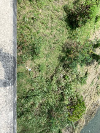 ▲▼台中女車停中彰快速道路　墜落20多公尺當場不治。（圖／民眾提供）