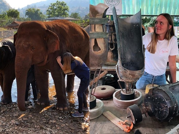 大象因地雷失去一條腿！無國界美女醫生製作「專屬義肢」幫助重獲新生 | E
