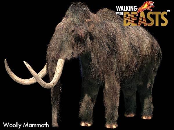 魚勾一拉竟是猛獁象牙齒 吉林垂釣男松花江邊驚奇 Ettoday新奇新聞 Ettoday新聞雲