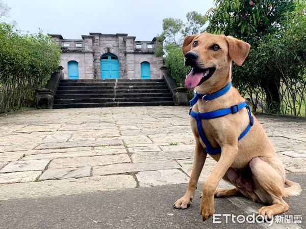 ▲▼園長。（圖／台南山上花園水道博物館授權提供）