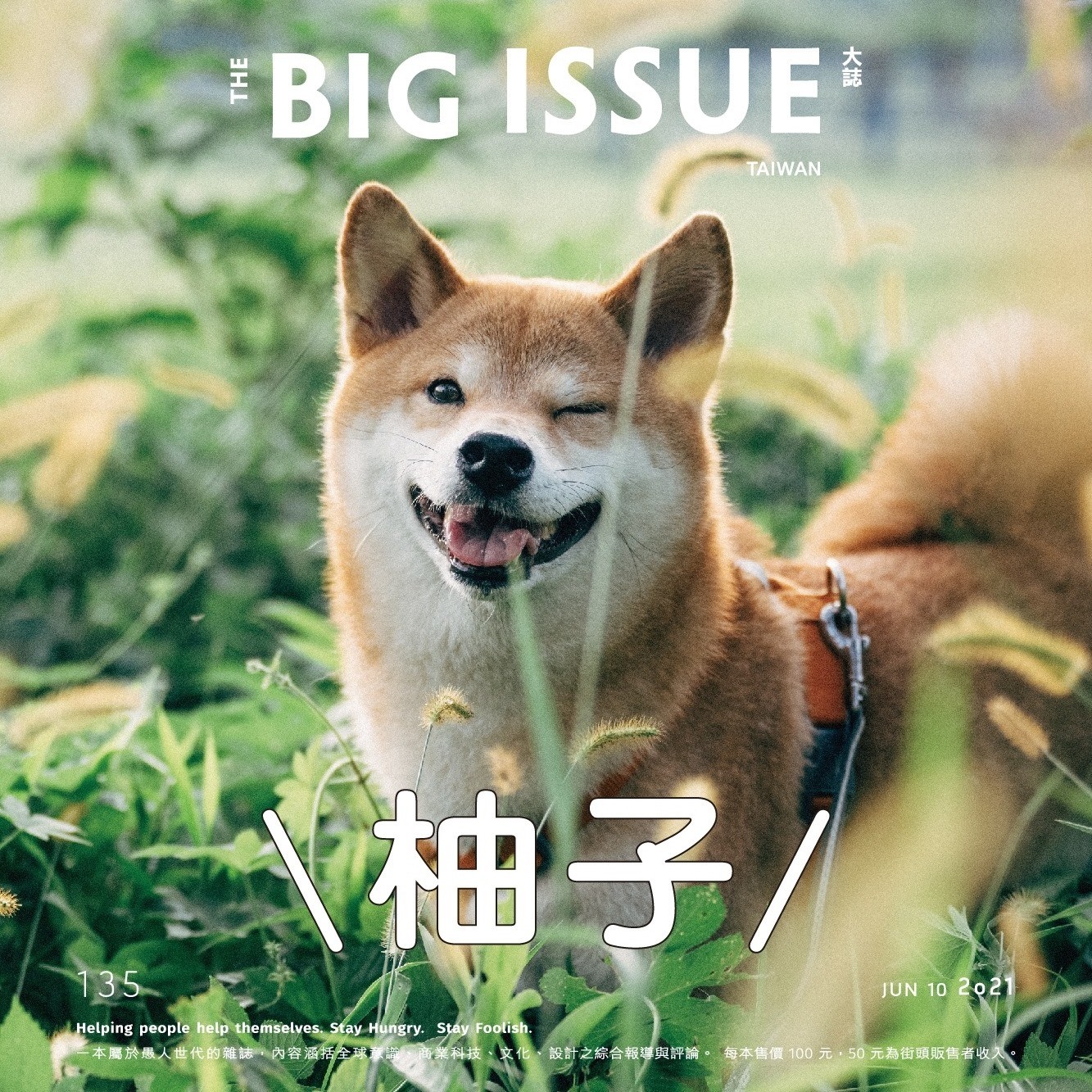 ▲視網膜搞笑求愛犬簽名，被對方無視。（圖／翻攝自Facebook／The Big Issue Taiwan 大誌雜誌、視網膜 Retina）