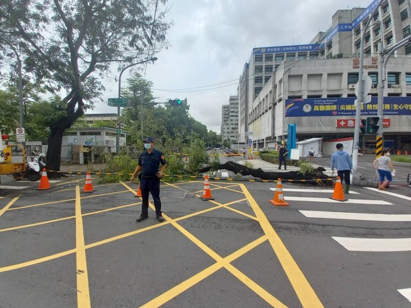 高雄連日大雨急診室前8米高路樹突倒憂影響救護車動線急排除 Ettoday社會新聞 Ettoday新聞雲