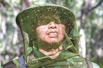 ▲▼新疆北灣的軍官都需穿上防蚊衣才能執勤。（圖／翻攝自新華網）