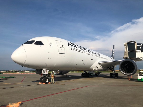 ▲▼紐西蘭航空順利恢復一周兩班的台灣貨運服務，6月13日貨機順利抵達桃園機場。（圖／紐西蘭航空提供）