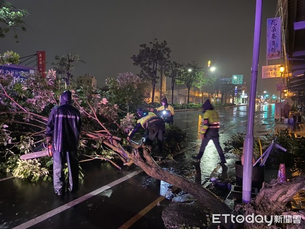 ▲台南市永康區永大路一段1棵路樹，深夜疑因豪雨橫倒在車道上，永康分局員警，冒雨合力徒手將倒塌路樹移至路旁，再請市府相關單位處置。（圖／記者林悅翻攝，下同）