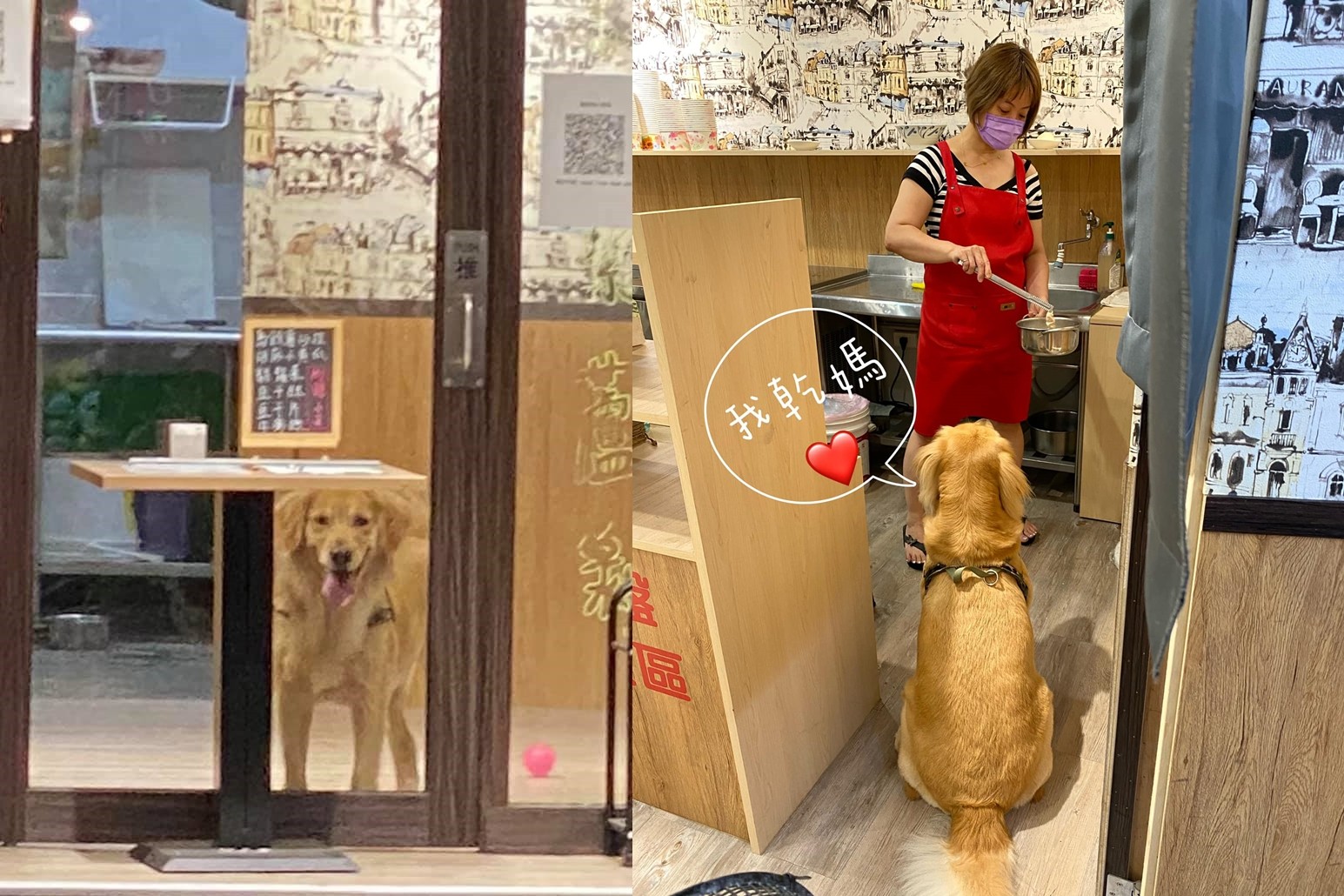 阿金深情目送媽 下秒突消失 真實去向笑翻網 有肉便是娘 Ettoday寵物雲 Ettoday新聞雲