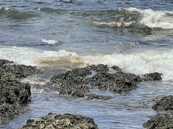 ▲▼中油輸油管漏油污染小琉球、恆春，民進黨立委莊瑞雄要求內政部、經濟部跨部會解決國家公園大浩劫。（圖／莊瑞雄辦公室提供）