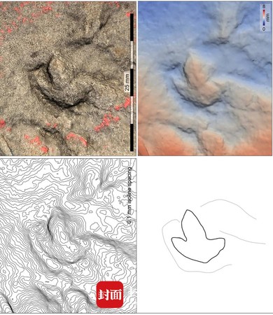 ▲▼ 大陸最小恐龍足跡            。（圖／翻攝 封面新聞）
