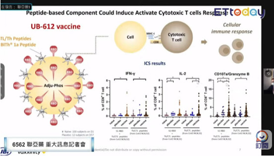 ▲▼聯亞疫苗和其他疫苗的保護力，還有刺激Ｔ細胞的原理。（圖／翻攝自證券櫃買中心直播）