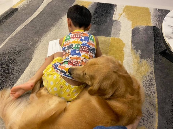 ▲▼疫情神隊友！阿金燦笑陪孩子看書、做瑜伽　媽讚：最佳陪伴犬。（圖／有點毛毛的／威～在幹嘛啦？粉專提供）