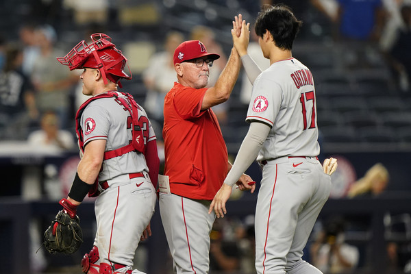 ▲天使大谷翔平在洋基球場             。（圖／達志影像／美聯社）