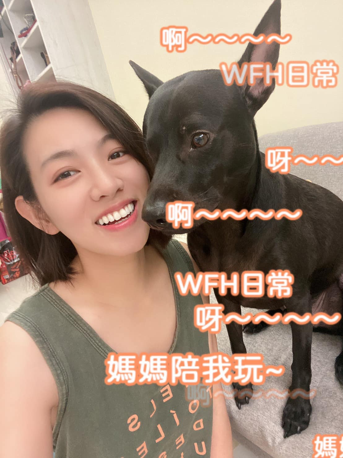▲愛犬躺床遭酸「細菌超多髒死了」　米可白被惹火反擊⋯吸2萬人共鳴（圖／翻攝自Facebook／米可白）