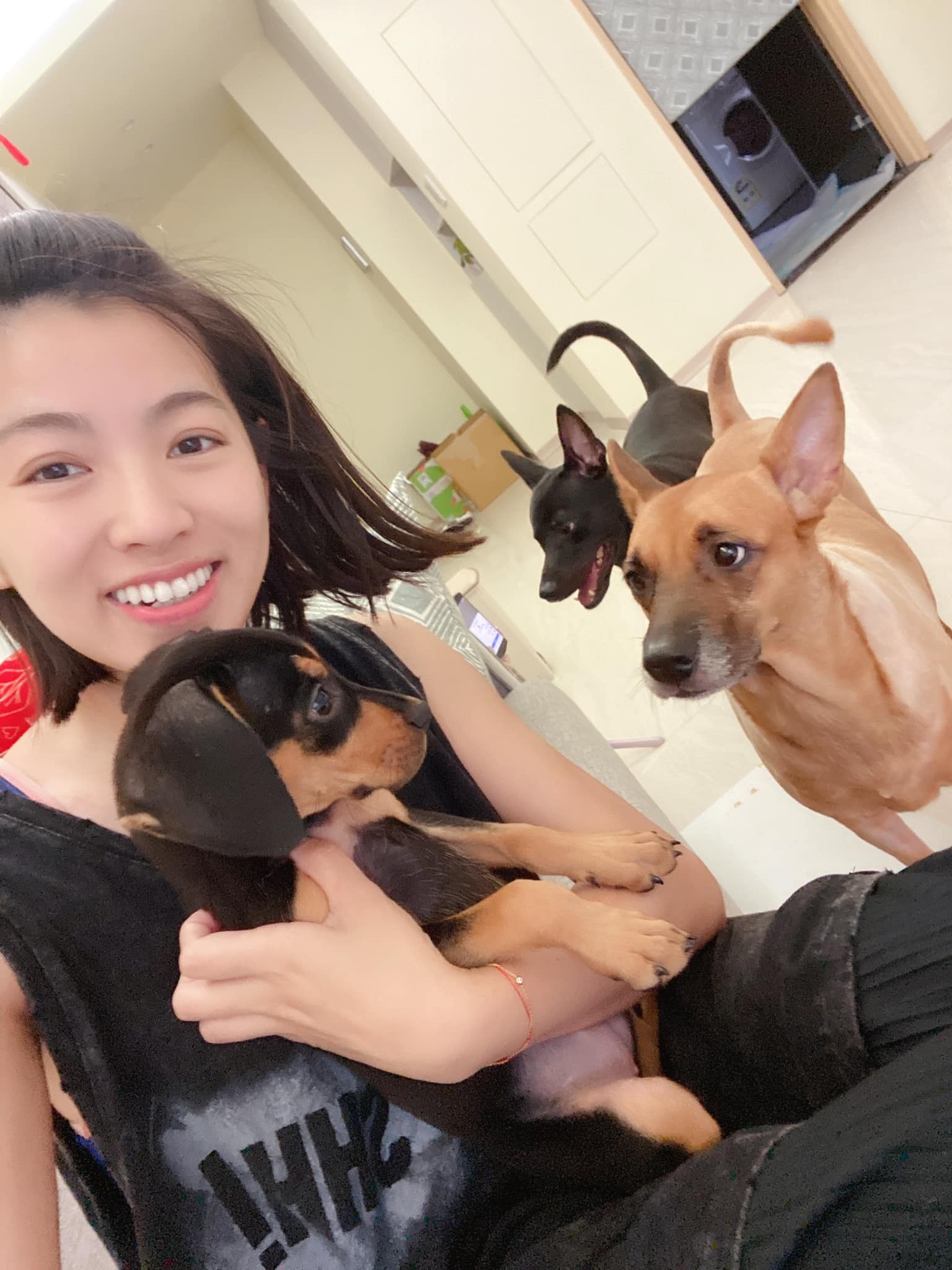 ▲愛犬躺床遭酸「細菌超多髒死了」　米可白被惹火反擊⋯吸2萬人共鳴（圖／翻攝自Facebook／米可白）