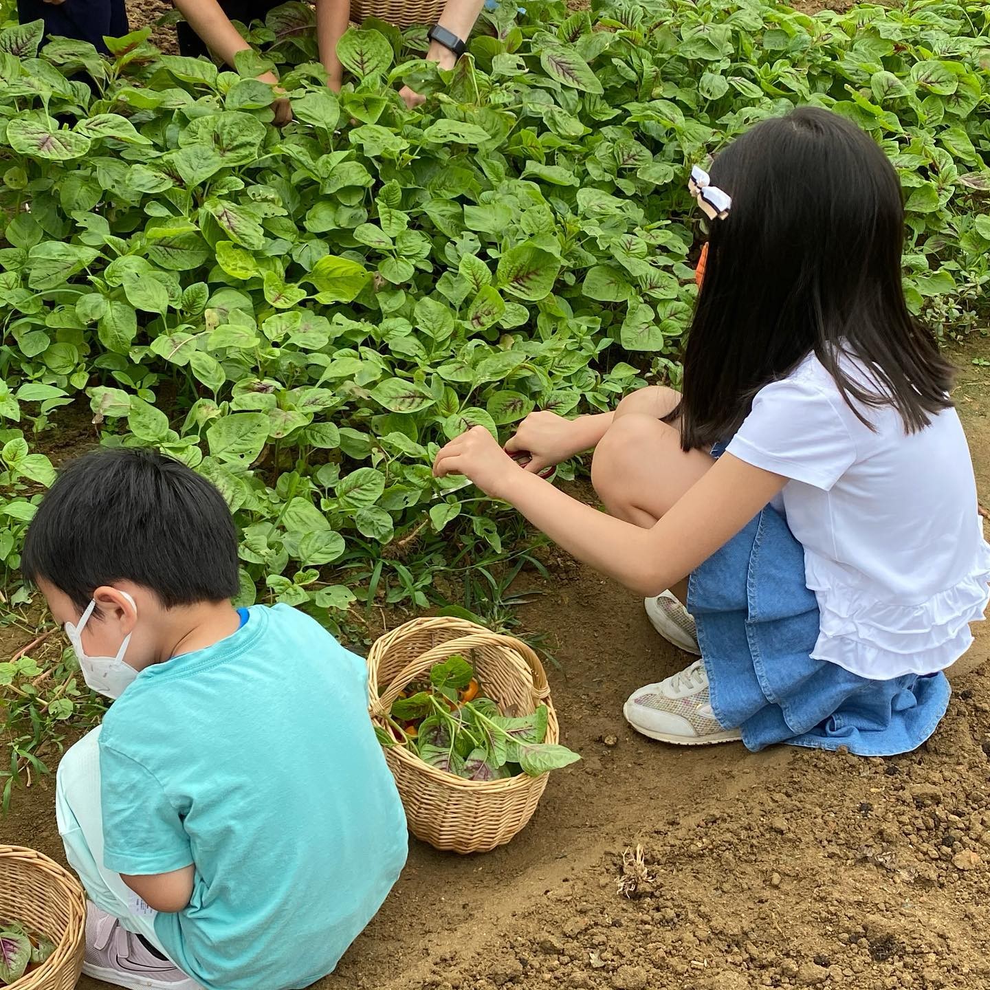 ▲梁詠琪混血女兒幼稚園畢業！站男同學旁「高一顆頭」長腿基因超狂。（圖／翻攝自Facebook／梁詠琪 Gigi Leung Wing Kei）