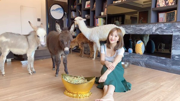 ▲王宥忻家裡變動物園。（圖／翻攝自王宥忻臉書）