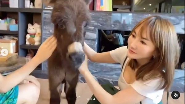 ▲王宥忻家裡變動物園。（圖／翻攝自王宥忻臉書）