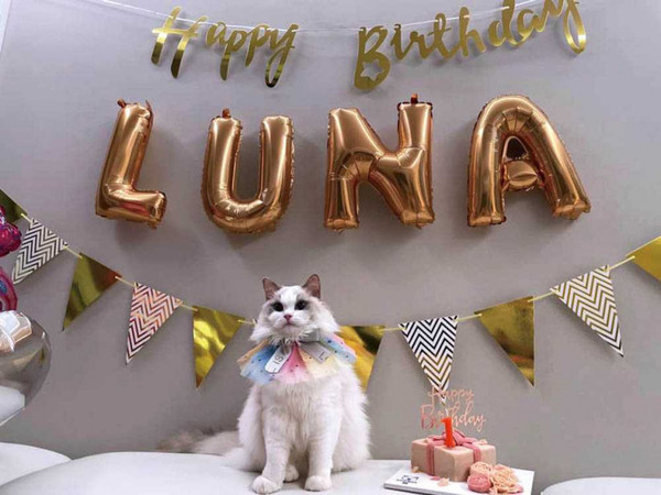 6月初剛滿1歲的Luna，之前完全沒有幼貓調皮搗蛋的行為，十分乖巧。（圖／翻攝自成語蕎臉書）
