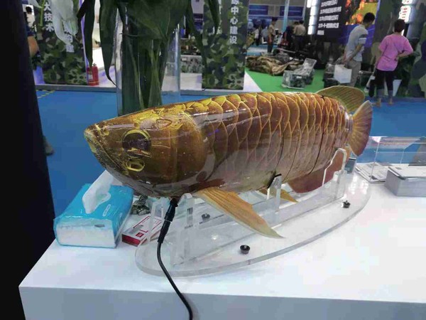 ▲第七屆中國（北京）軍事智能技術裝備博覽會。（圖／翻攝環球網）