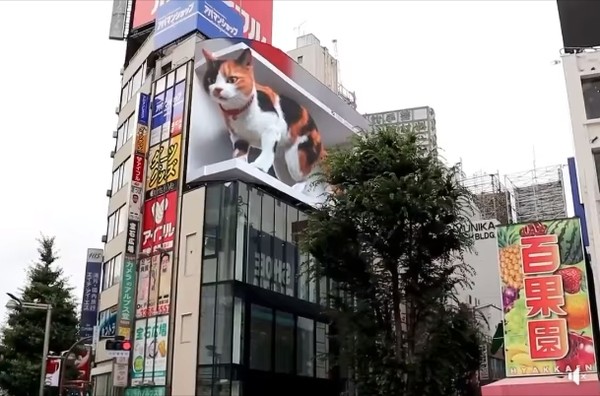 新宿車站巨大化貓投影。（圖／翻攝自twitter @cross_s_vision）